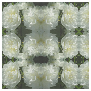 Tecido Fotografia floral branca de pénia branca Elegante