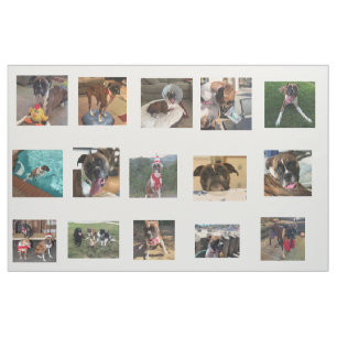 Tecido fotos do cão