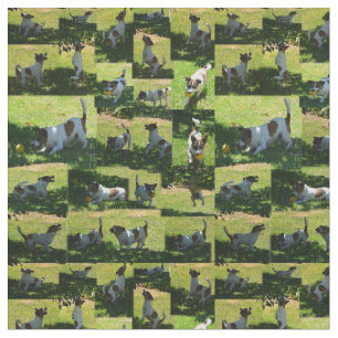Tecido Fox Terrier Photo Collage,