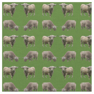 Tecido Frenesi da Vaca das Terras Altas (Verde Esc