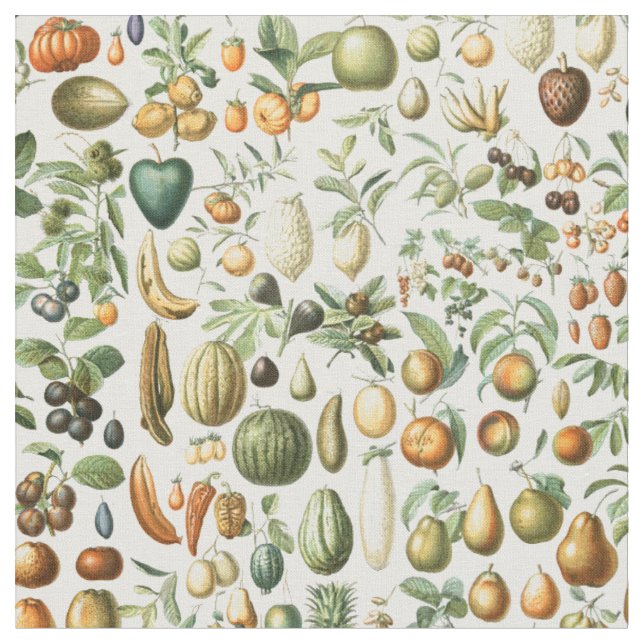 Tecido Frutas Adolphe Millot (Detalhe)