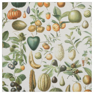 Tecido Frutas Adolphe Millot