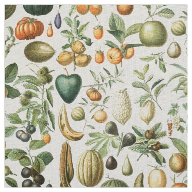 Tecido Frutas Adolphe Millot (Modelo)