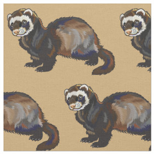 Tecido furão (Mustela putorius furo)