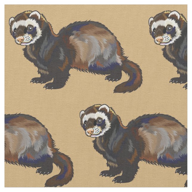 Tecido furão (Mustela putorius furo) (Detalhe)