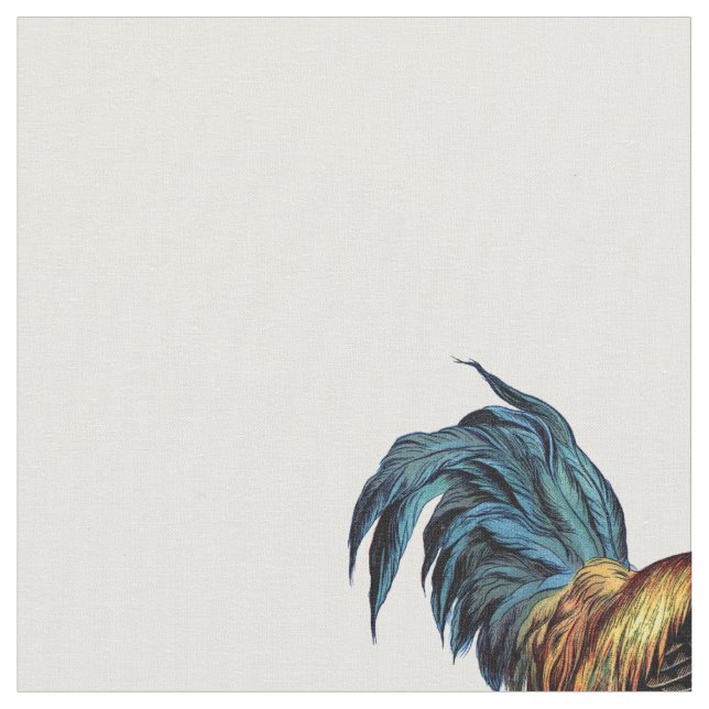 Tecido Galo (Detalhe)