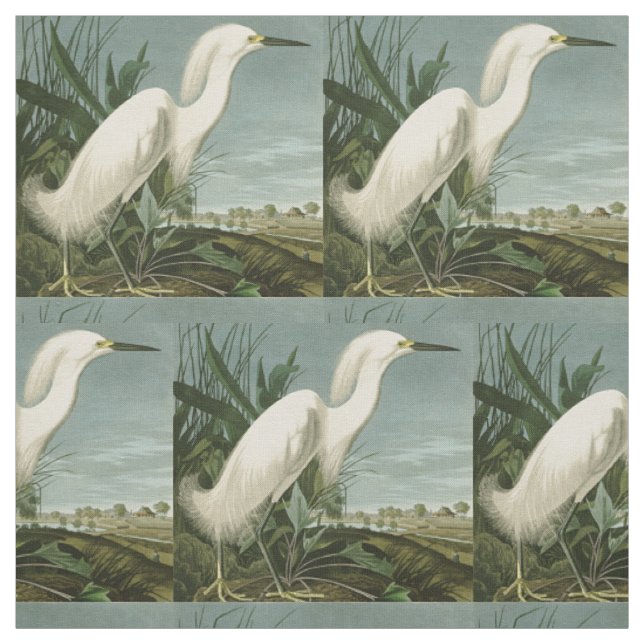 Tecido Garça Branca de Audubon Ave de Observação de Aves (Modelo)