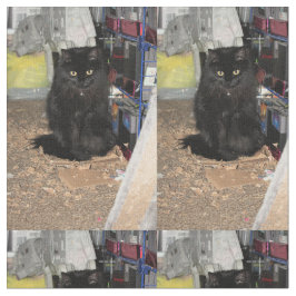 Tecido Gato
