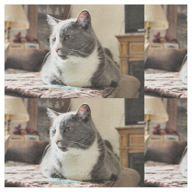 Tecido Gato (Detalhe)