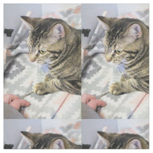 Tecido Gato
