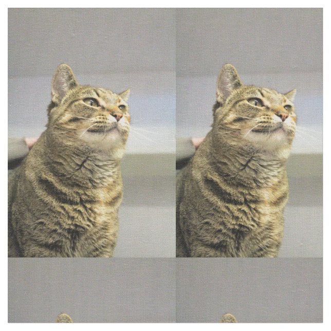 Tecido Gato (Detalhe)