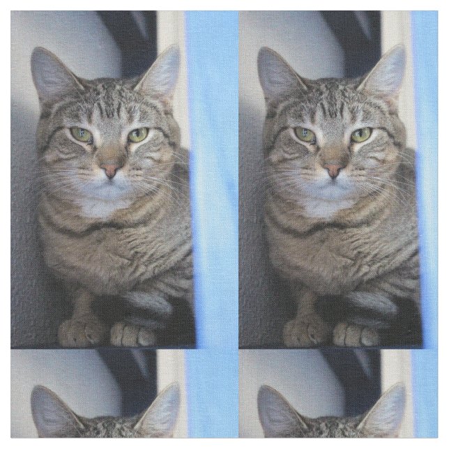 Tecido Gato (Detalhe)