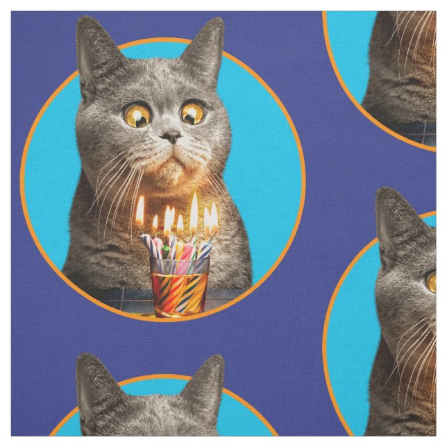 Tecido Gato Com Vidro De Aniversário (Modelo)