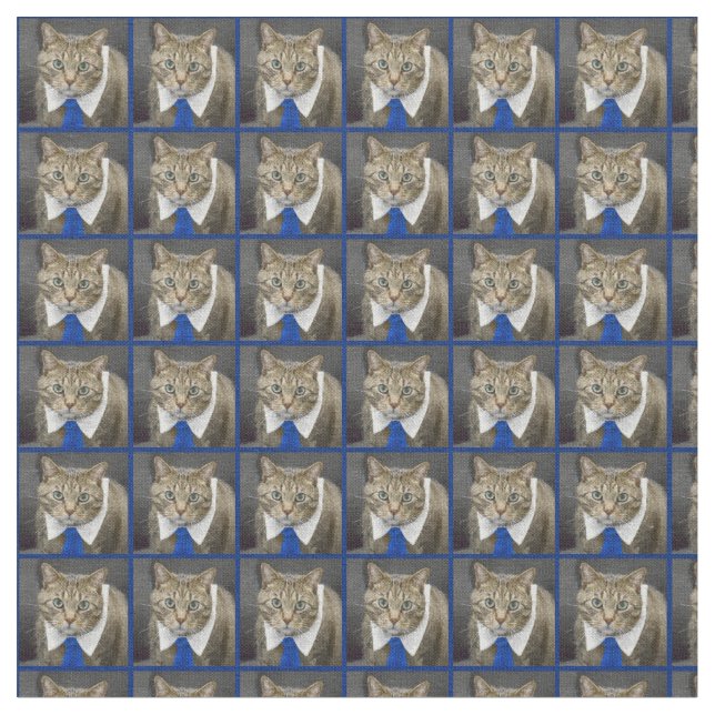 Tecido Gato de gato malhado marrom verde-eyed bonito que (Detalhe)