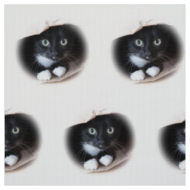 Tecido Gato em um saco (Modelo)