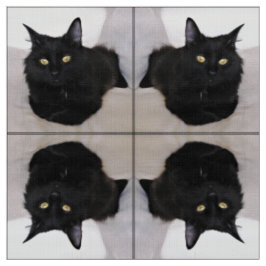 Tecido Gato no sofá