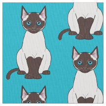 Gato Siamese