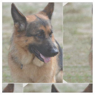 Tecido German shepherd adorável