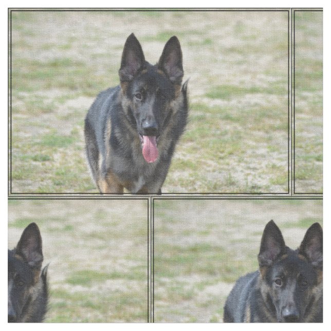 Tecido German shepherd novo (Detalhe)