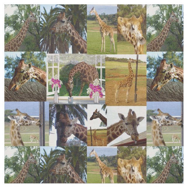 Tecido Giraffe Photo Collage, (Detalhe)