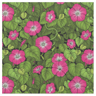 Tecido Glória da manhã em rosa e verde