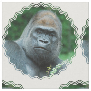Tecido Gorila Perplexed