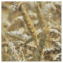 Tecido Grama temático, secada do close up ou trigo no