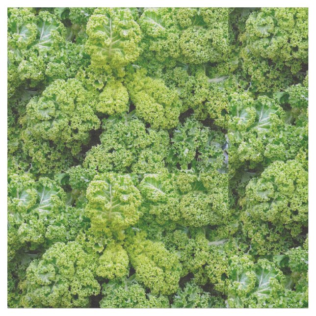 Tecido Green cabbage (Detalhe)