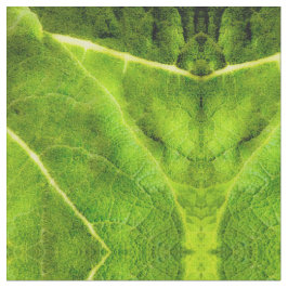 Tecido Green Mullein