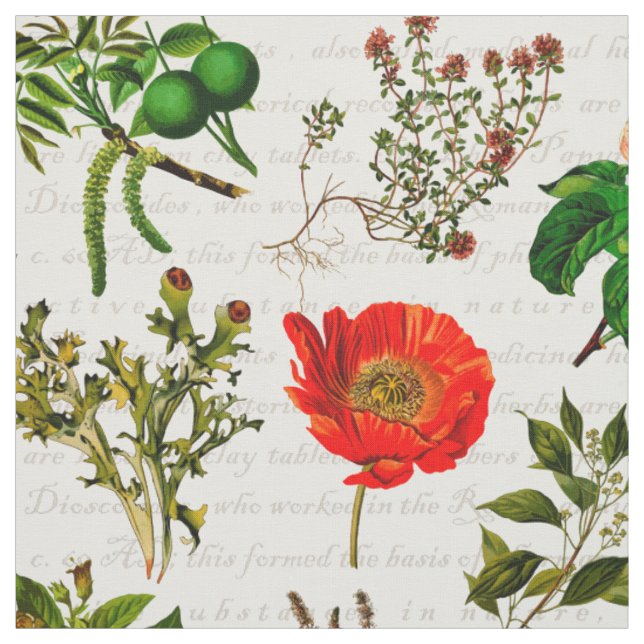 Tecido Herbário Farmacêutico Médico Flores Herbário (Modelo)
