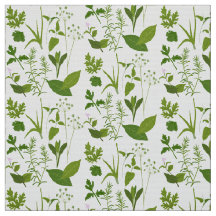 Herbos de Coleção de Plantas