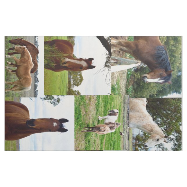 Tecido Horse_Collage, Algodão Combido (56" de largura) Ma (Jarda)