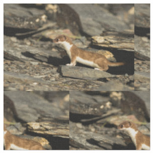 Tecido Hunting Weasel