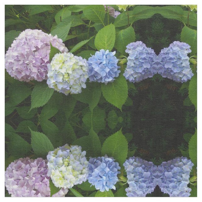 Tecido Hydrangeas azuis, hidrangeas cor-de-rosa, hydrange (Detalhe)
