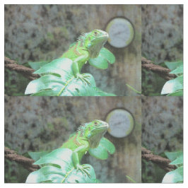 Tecido iguana verde
