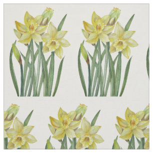 Tecido Ilustração Botânica de Daffodils Amarelos de Aquar