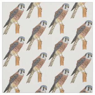 Tecido Ilustração de ave do Kestrel Americano
