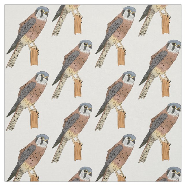 Tecido Ilustração de ave do Kestrel Americano (Modelo)