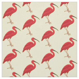 Tecido Ilustração de desenho animado de aves Scarlet ibis