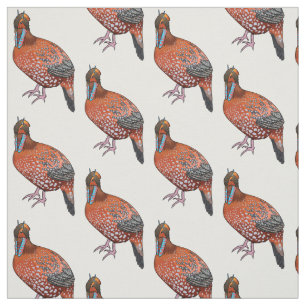 Tecido Ilustração de desenho animado de aves tragopan de 