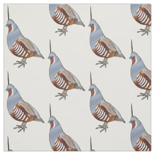 Tecido Ilustração de desenho animado de codorniz de monta