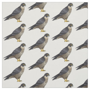 Tecido Ilustração de desenho animado de pássaros falcões 