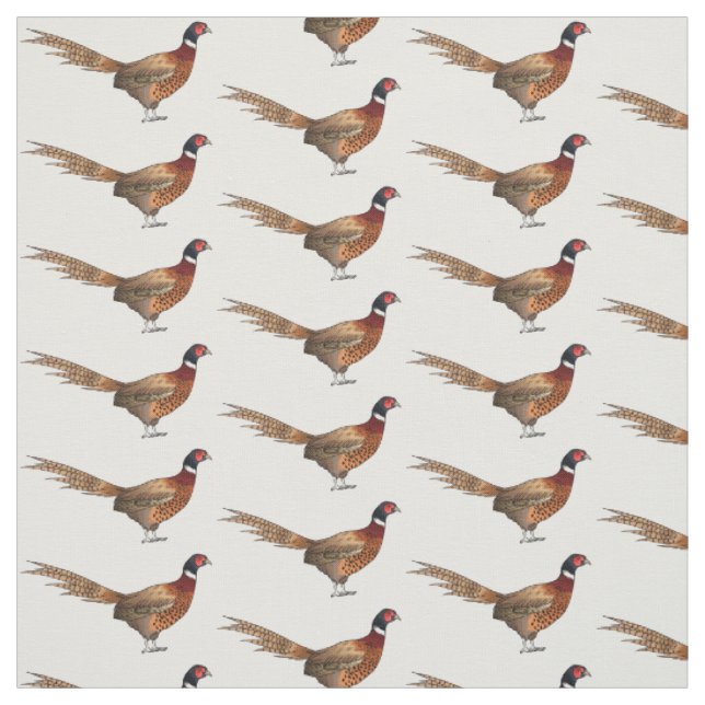 Tecido Ilustração de desenho animado de pheasant de pesco (Modelo)