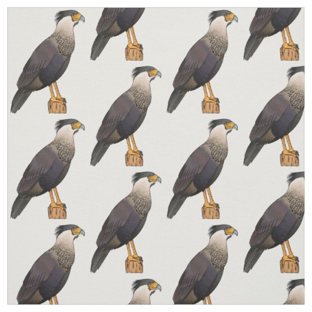 Tecido Ilustração de desenho animado do pássaro carcará  (Modelo)