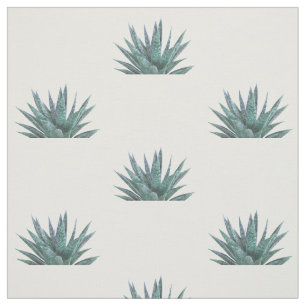 Tecido Ilustração do Succulent