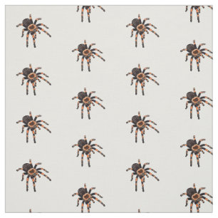 Tecido Imagem do desenho de Tarantula