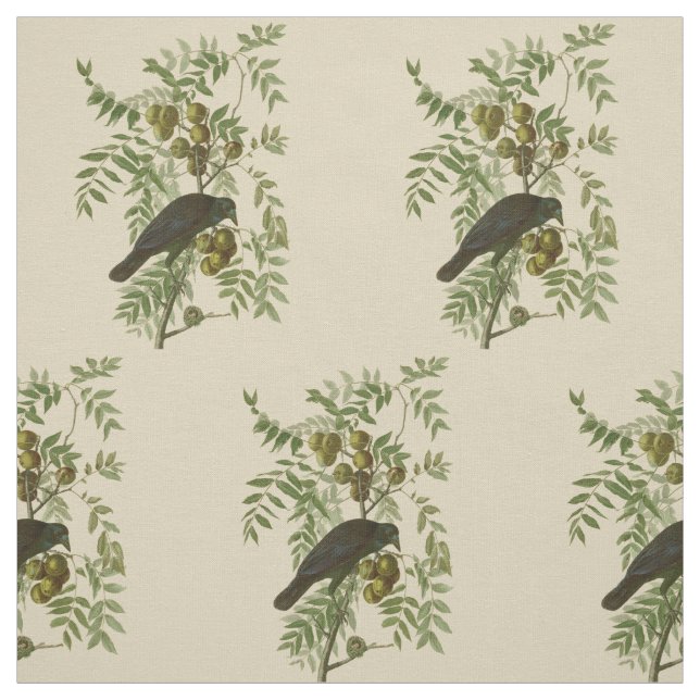 Tecido Impressão de Pássaro Grackle Roxo de Audubon Vinta (Modelo)