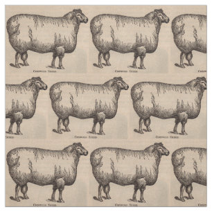 Tecido Impressão do século XIX dos carneiros de Cotswol