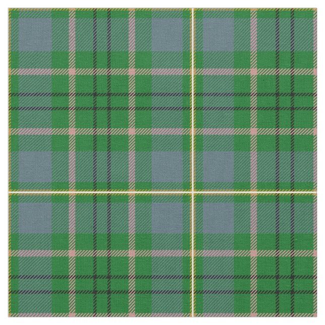 Tecido Impressão do Tartan de Taylor (Detalhe)