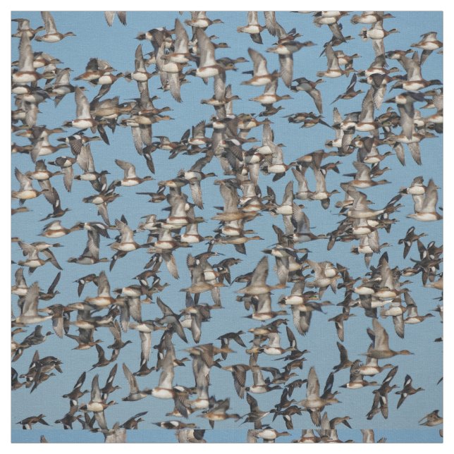 Tecido Incrível Patos de inverno no voo (Modelo)